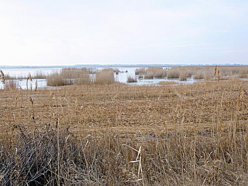 P1100544.JPG