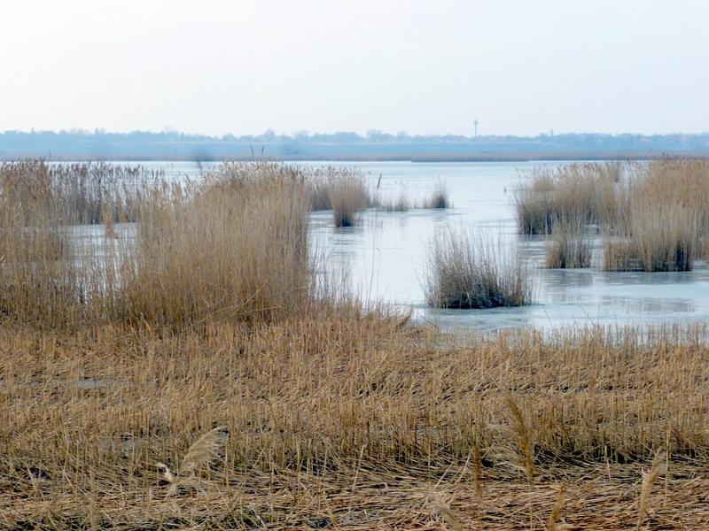 P1100545.JPG
