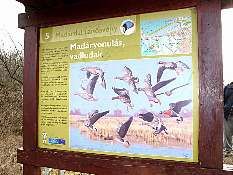 P1100546.JPG