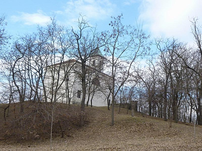P1100554.JPG