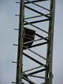 IMG_2969-1