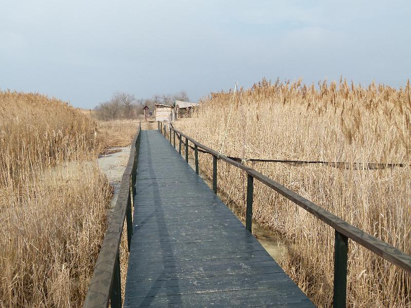 L1380942.JPG