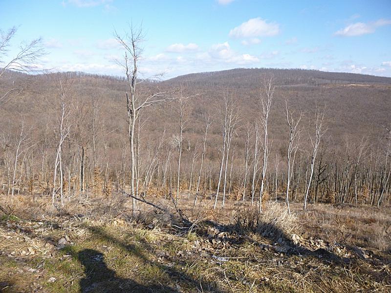 P1100587.JPG