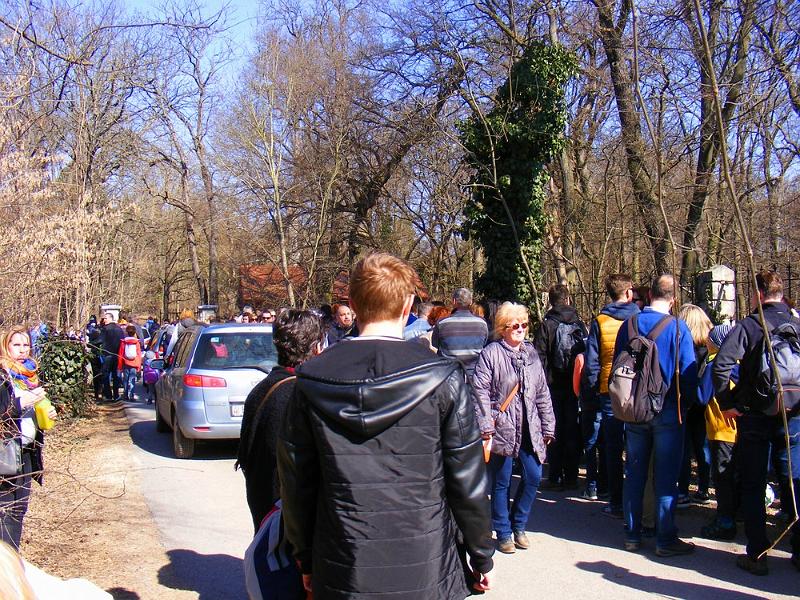 DSCF1404.JPG