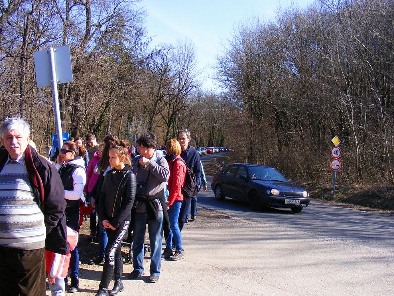 DSCF1406.JPG