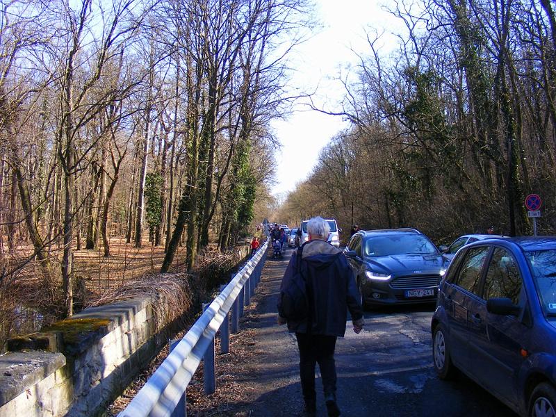 DSCF1408.JPG