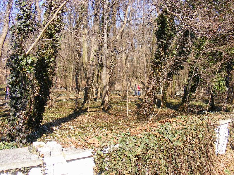 DSCF1412.JPG