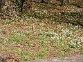 DSCF1409