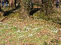 DSCF1410
