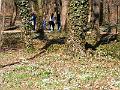 DSCF1411