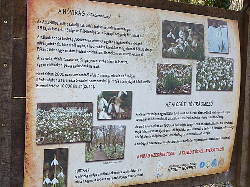 P1100655.JPG