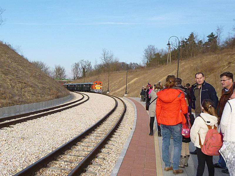 P1100673.JPG