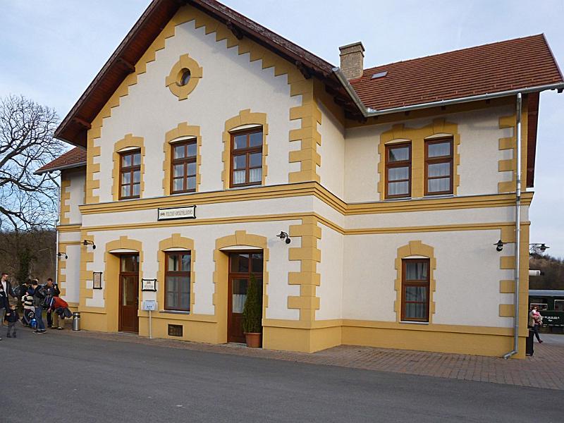 P1100676.JPG