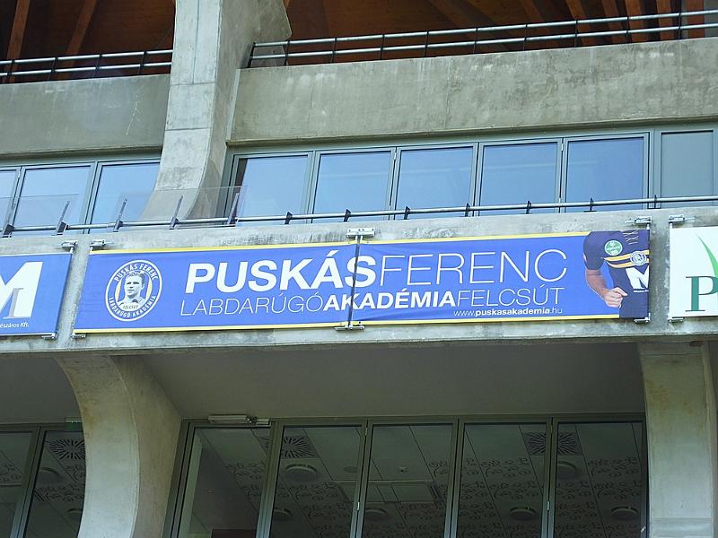DSCF0155.JPG