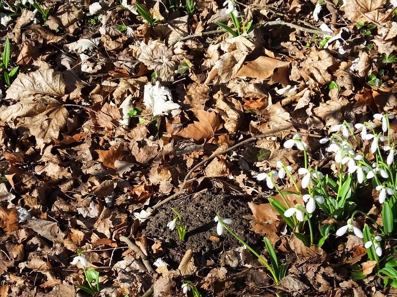 DSCF0179.JPG