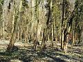 DSCF0175