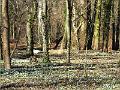 DSCF0176