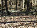 DSCF0178