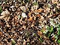 DSCF0179