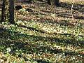 DSCF0180