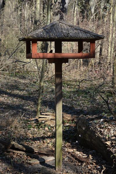 DSC_2213.JPG