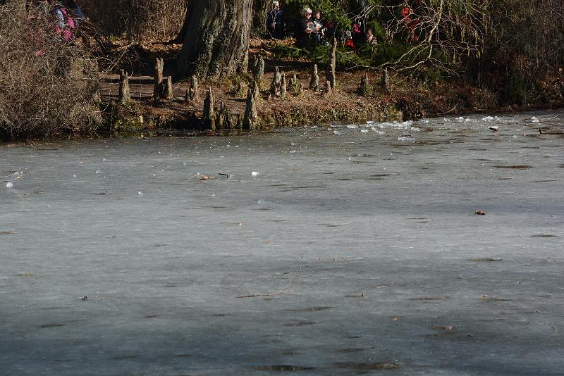 DSC_2216.JPG