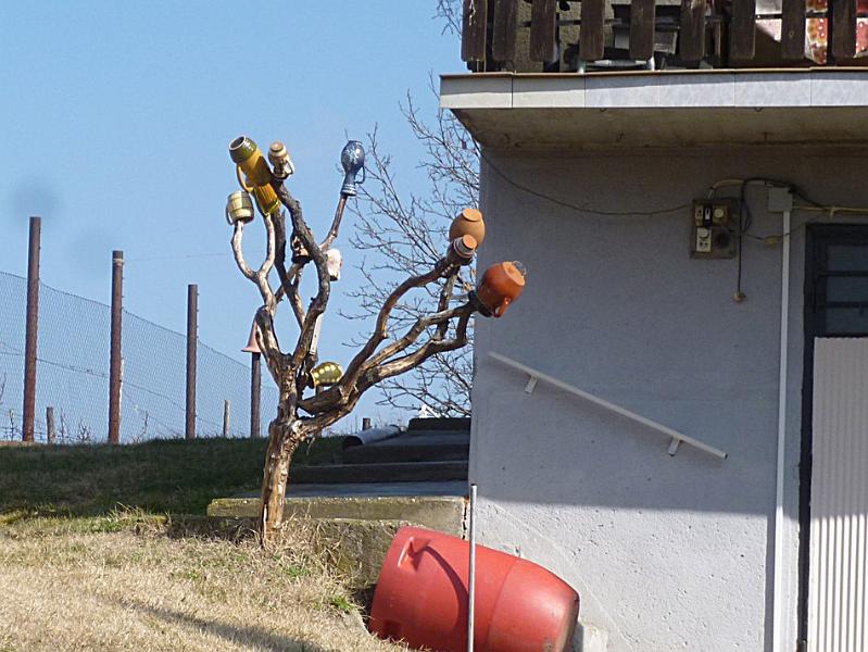 P1100723.JPG
