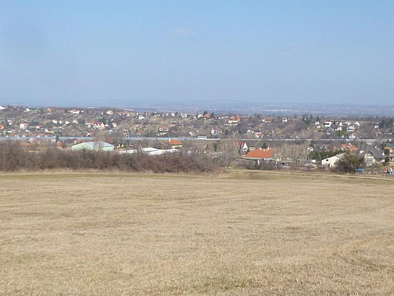 P1100726.JPG