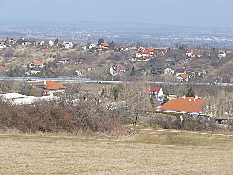 P1100727.JPG