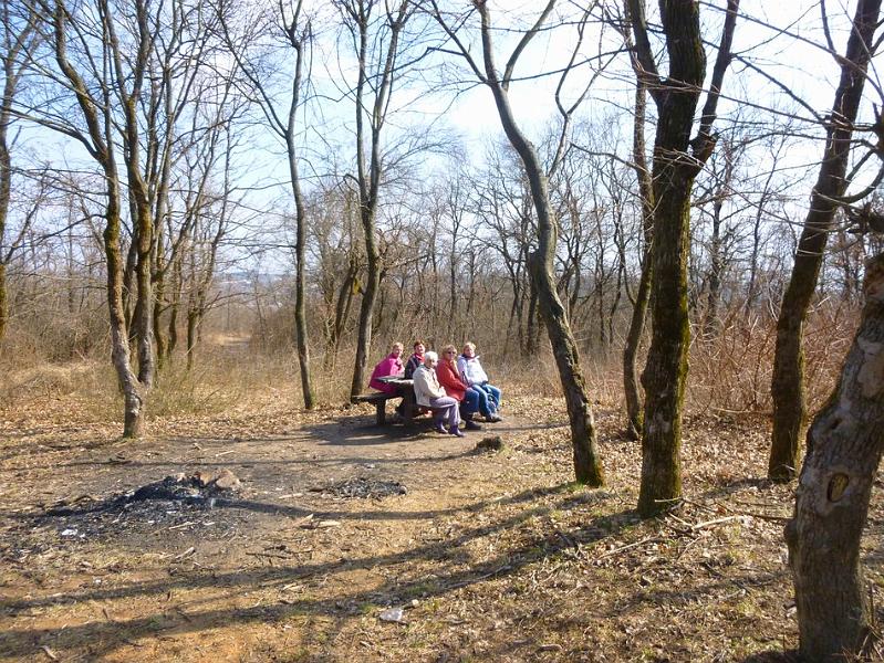 P1100729.JPG