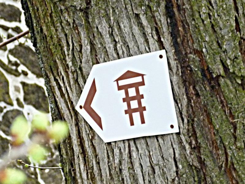 P1100752.JPG