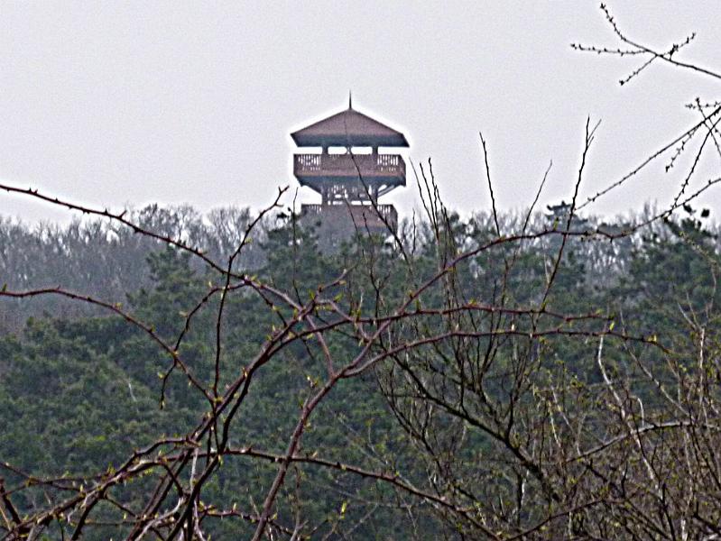 P1100762.JPG