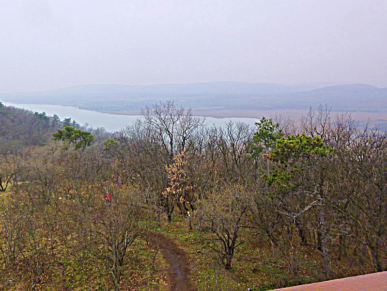 P1100774.JPG