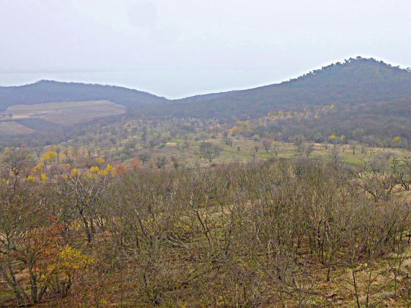 P1100775.JPG