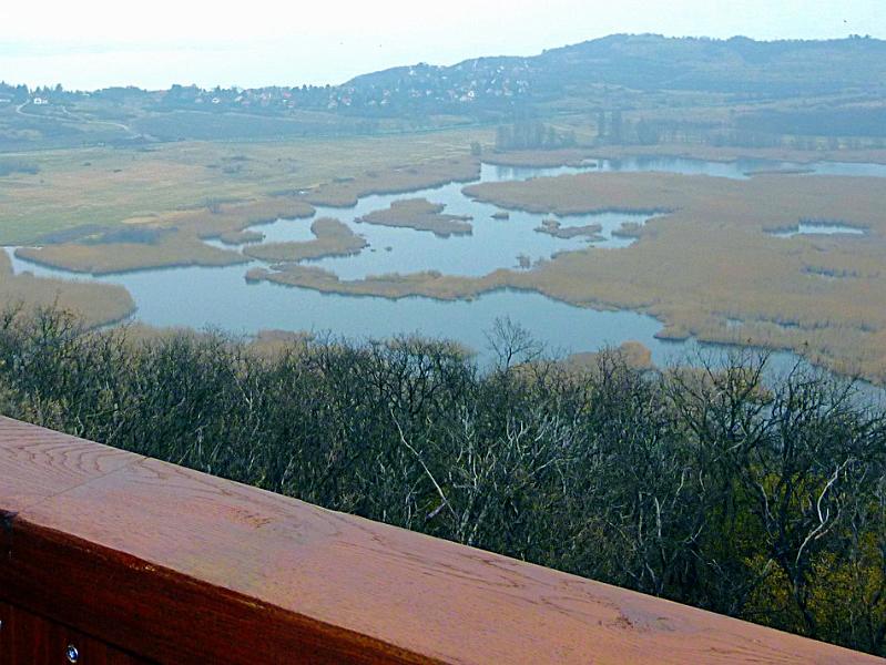 P1100779.JPG