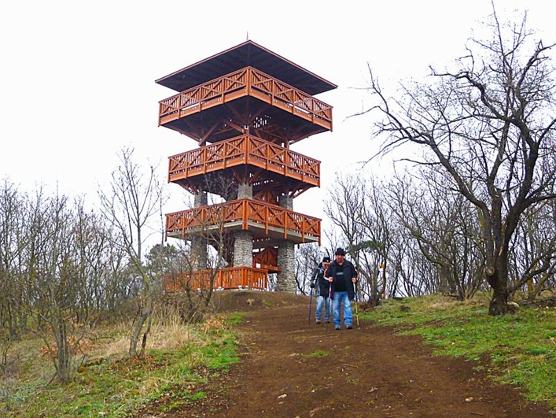 P1100784.JPG
