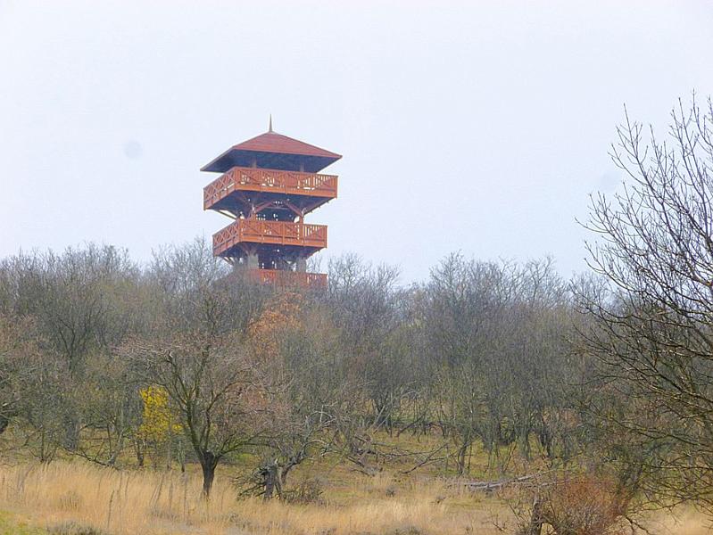 P1100786.JPG