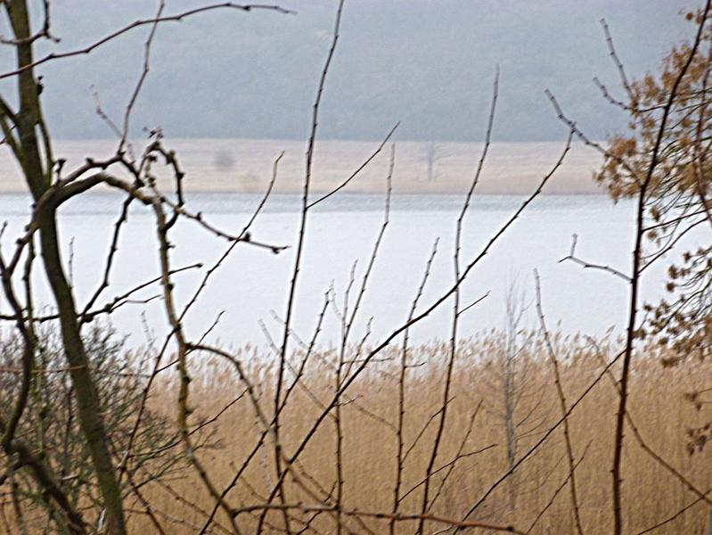 P1100791.JPG