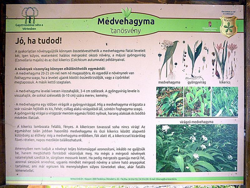 P1100875.JPG