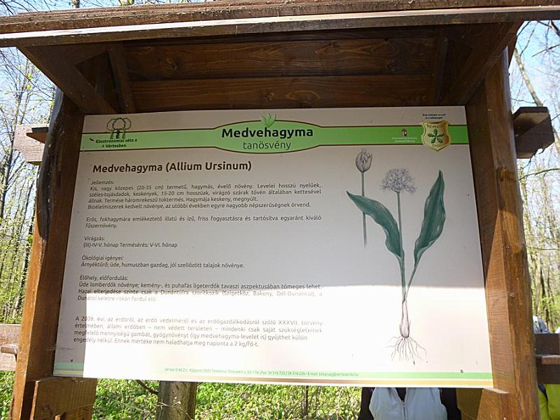 P1100876.JPG