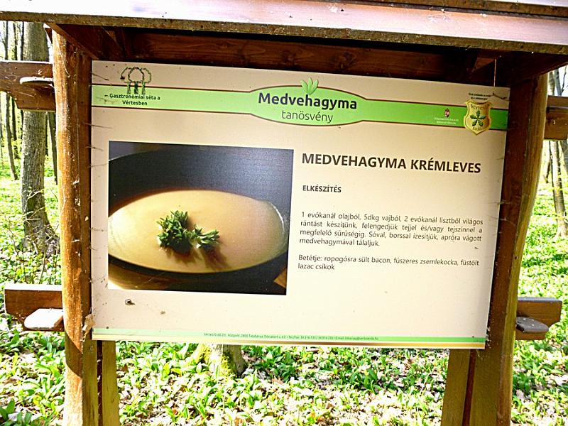 P1100880.JPG