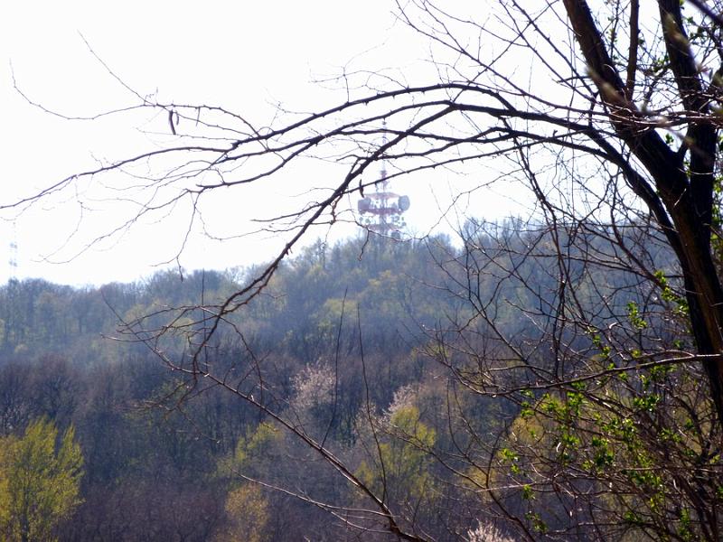P1100886.JPG