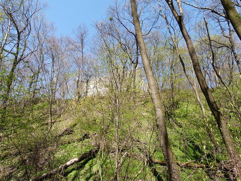 L1390325.JPG