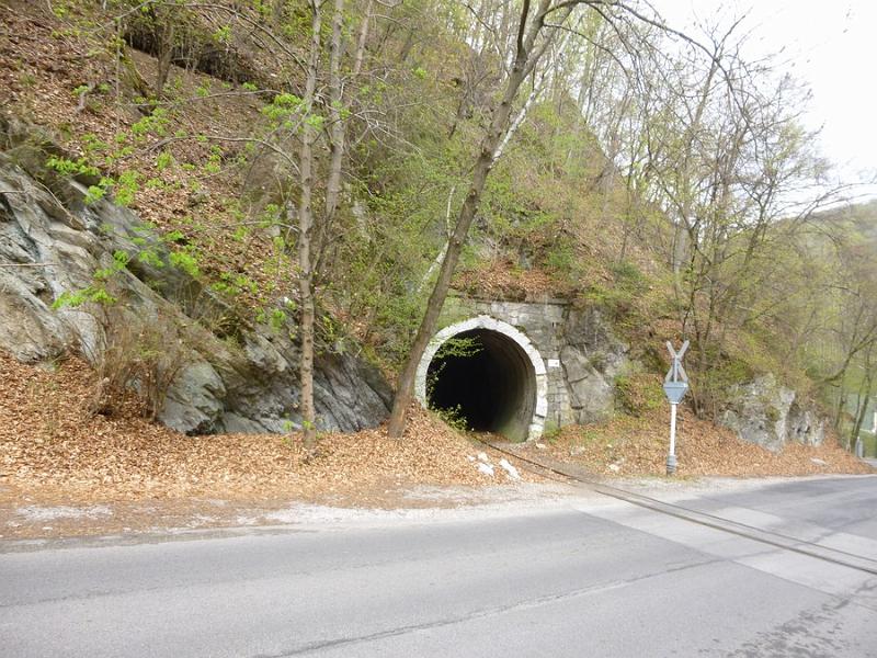 P1100890.JPG