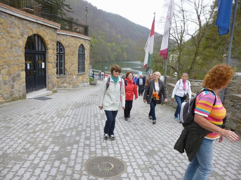 P1100894.JPG