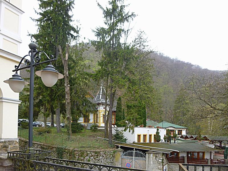 P1100916.JPG