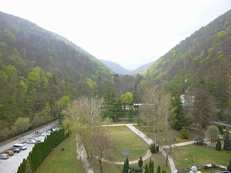 P1100944.JPG