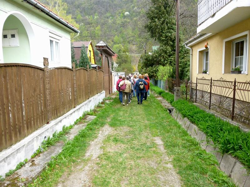 P1100974.JPG