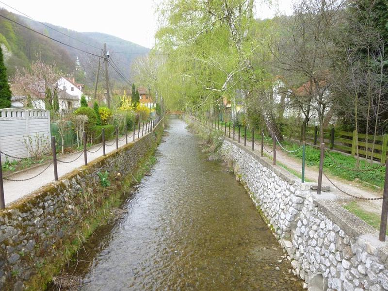 P1100977.JPG