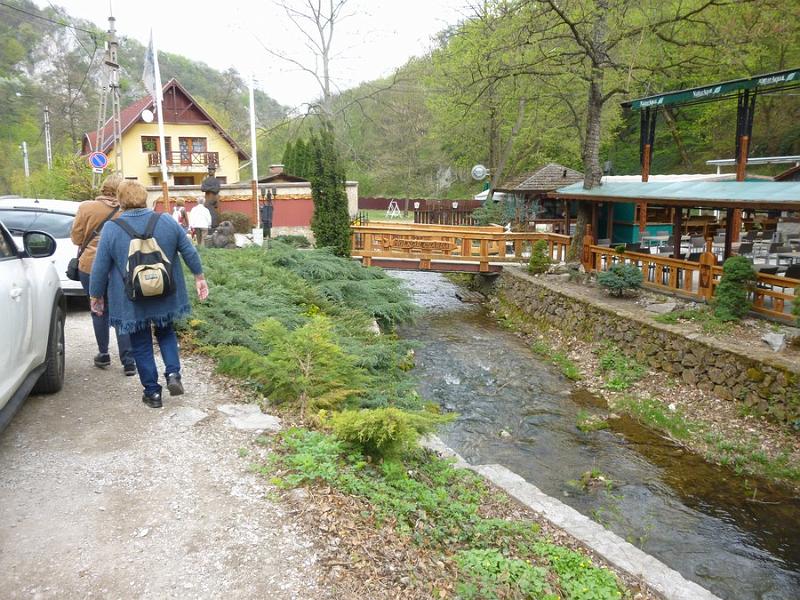P1100984.JPG